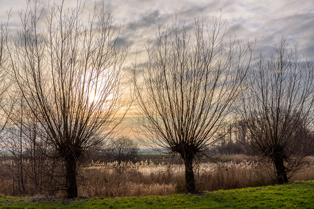 ondergaande zon