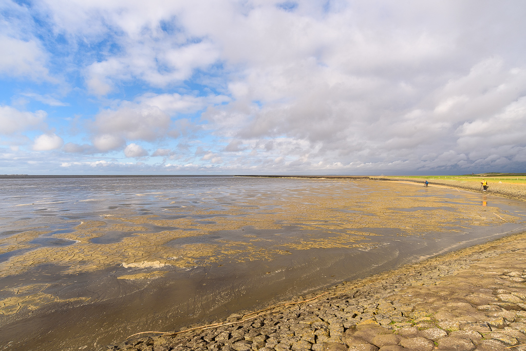 Waddenzee