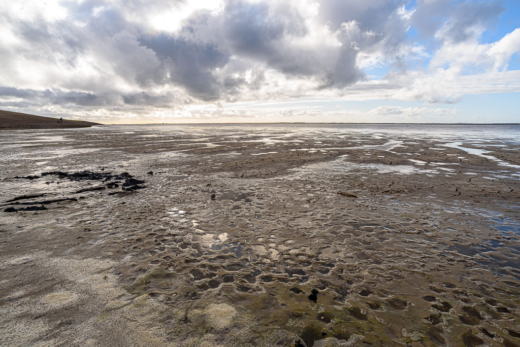 Waddenzee