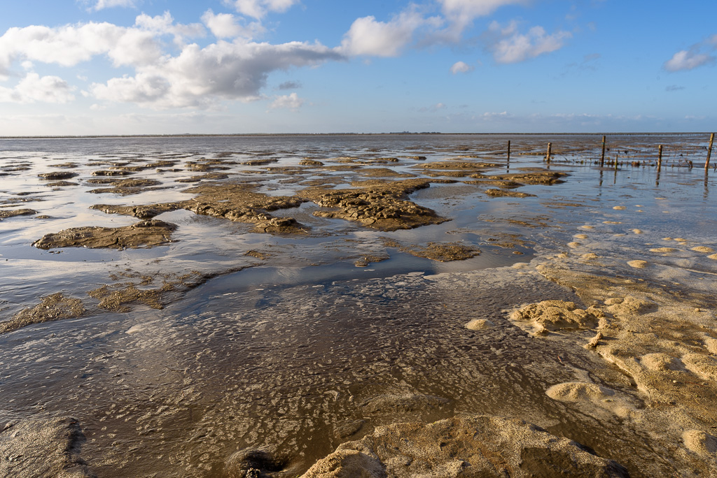 Waddenzee